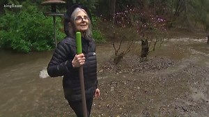 Heavy rain floods Woodinville property for 2nd time this winter