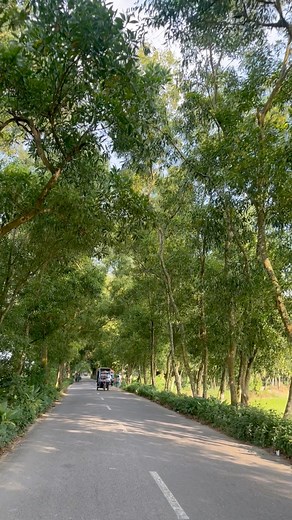 🌸 Beautiful Comilla – history, culture & timeless beauty | কুমিল্লা শহর-Comilla city