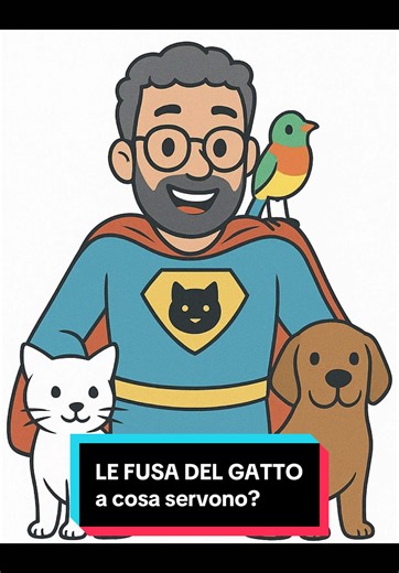 LE FUSA DEL GATTO. Che cosa rappresentano? #fusa #gionatansuperpetsitter #gatti #petsitting #petsitter