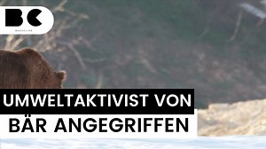 Bärenangriff auf deutschen Umweltaktivisten!