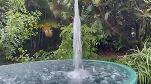 47K views · 35 reactions | Radio Free Dom on Reels | Facebook