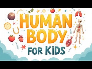 Human Body Explained for Kids | Fun Science Learning | Flipbook for Kids | English Learning