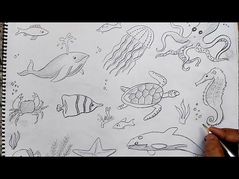 how to draw water animals I how to draw sea animals realistic I how to draw sea animals easy