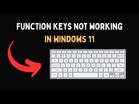 Function Keys Not Working in Windows 11