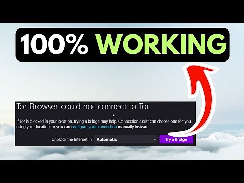 Tor Browser Not Working on Windows 11 RESOLVED
