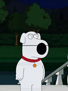 163K views · 3.2K reactions | Brian moments family guy funny cartoon characters #viralvideoシ #foryourpage #familyguyvideo #familyguyclips #viewers #familyguyfunnymoments #familyguymemes #followers #familyguy #nonfollowers | Bebeth Van Cauwenberge | Facebook