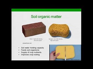 Top 10 Ways Cover Crops Build Soil Health - Rob Myers