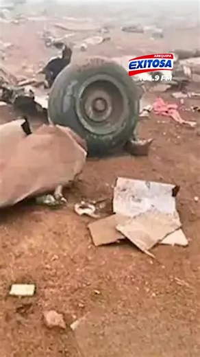 🔴🔵Perrito sobrevive al impacto de helicóptero de la FAP #exitosanoticias #exitosaarequipa #perro #sobreviviente #mascota