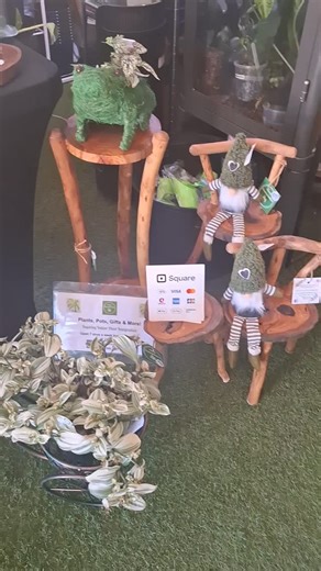 SALE Specials today only! 6/15 Vanden Way, Joondalup. 🪴🌿💚 #perthplantspiration #plantsmakepeoplehappy #perthplantpeople #perthplantscene | Perth Plantspiration