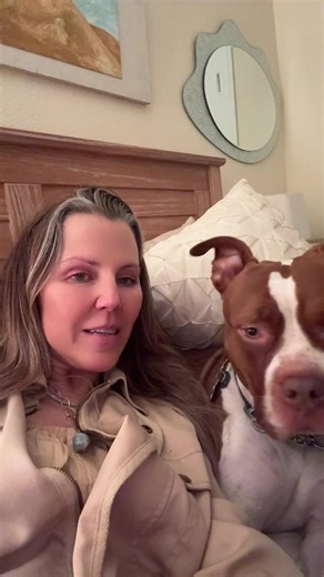 Shadow banned library dot