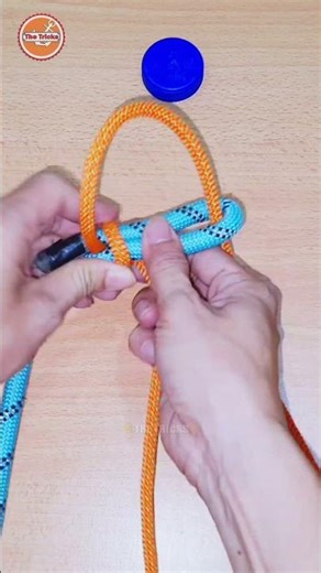 DIY rope knot tricks 💡 Learn step by step how to tie strong knots