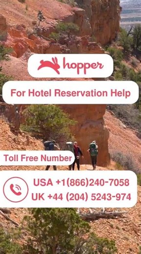 "Hopper vs Expedia | Which App Is Better for Hotel Reservations?"