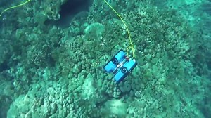 The BlueROV2 is a subsea drone for research, exploration, and adventure. With six thrusters, open-source software, quick-swappable batteries, and HD video, it is one of the most capable and affordable ROVs on the market. Launched 2016, there are now hundreds of BlueROV2s exploring the world's oceans. Project by: Blue Robotics Source: Blue Robotics via Youtube If you as righteous owner want to have your content removed from this channel DM us #engineering #technology #computers #makers | Wevolver