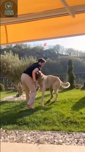 "Kangal Attacks: Unleashing Power & Protection