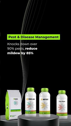 Biosolutionize Agriculture: Effective biosolutions for biotic stress 🌱