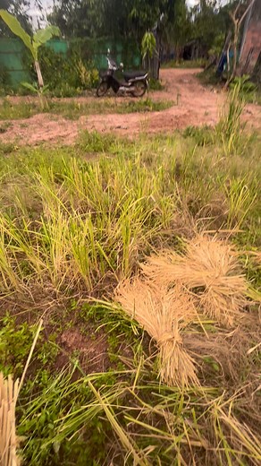 24K views · 279 reactions | excercise | Siem Reap AD | Facebook