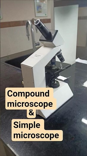 compound microscope and simple microscope #laboratory