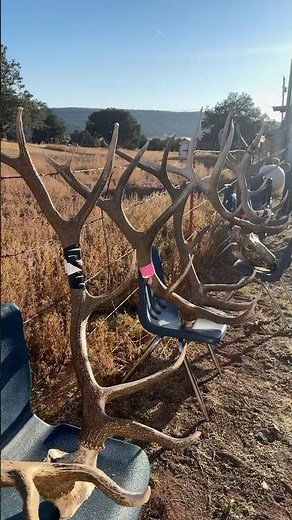NEW MEXICO ELK HUNTING