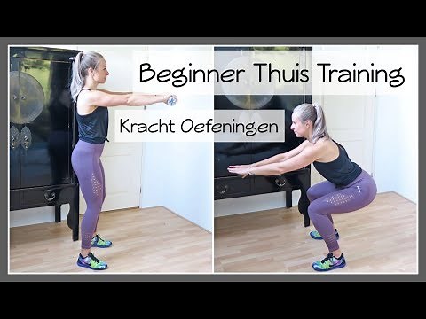 Beginner Workout Routine - Full Body! // OPTIMAVITA