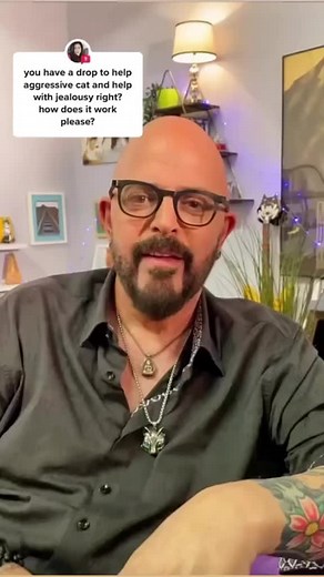 51K views · 1.2K reactions | Do you have an #Aggressive #Cat? Many people ask me if I have a product to help with that, and I do! Check it out on my website, It’s called Bully Solution! Link is in the comments… | Jackson Galaxy | Facebook