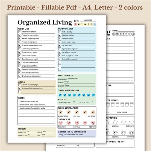 Organized Living: Daily Planner, Fillable PDF, A4 and Letter Sizes - Etsy