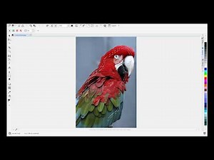 Smart Selection Mask tool