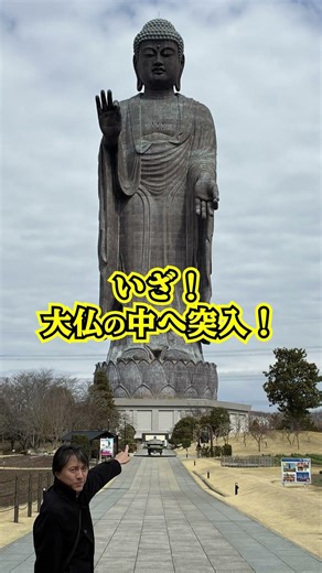 This time on #RepresentativeStroll, we went to the Ushiku Daibutsu (Great Buddha of Ushiku) in Us...