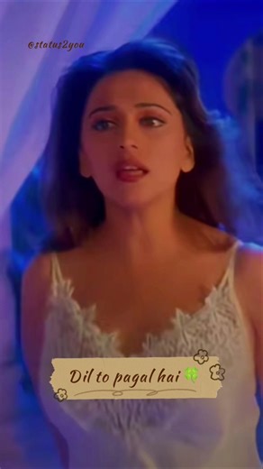 दिल तो पागल है ❤️✨|90s hits #shotrs #shortsvideo #bollywood #explore #viral #love #trending #status