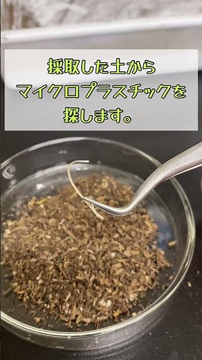 共育講座「海洋プラスチック問題について学ぼう」 #マイクロプラスチック