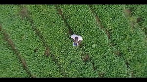 110K views · 25K reactions | The Future is Africa | African Union | Facebook