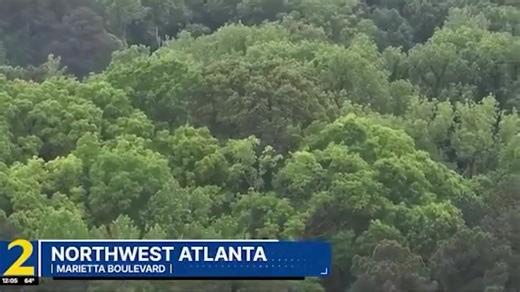 Illegal Alien Crimes @ImmigrantCrimes 🚨 Fulton County, GA: Three people have been charged in connection with the shooting death of 20-year-old Angela Yajahira Cortes Villegas. All three have immigration detainer holds. Hector Paz (L), Denis Manuel Velasquez Rivera (M), and Madelin Garcia (R) each face Conspiracy, Assault, Robbery, and Murder charges. Cortes Villegas's body was found in a wooded area near a cemetery on April 20. | Texans For Arizona's New Immigration Law