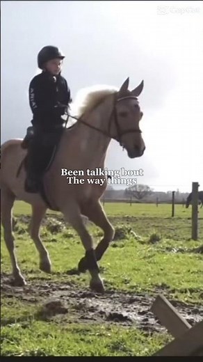 Harlow and popcorn❤️ #horse #equestrianjourney #equestrian #riding #harlow #pony
