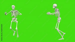Skeleton dancing. Seamless loop animation on green screen.