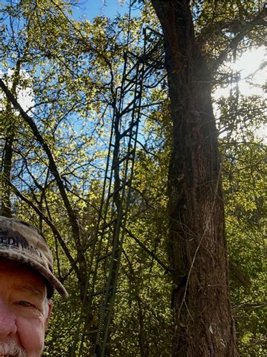 5.3K views · 292 reactions | New @huntersafetysystem lifeline installed. Only stand that was lacking one. My bride rode by that tree the other day with Cranky and told me she didn’t see a life line there. Gotta love a country girl. Can I get an Amen | Cuz Strickland | Facebook