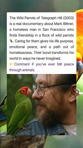 The Wild Parrots of Telegraph Hill (2003)