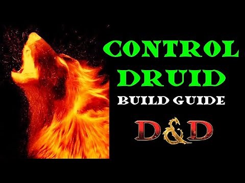 Wildfire Druid Build Guide: D&D