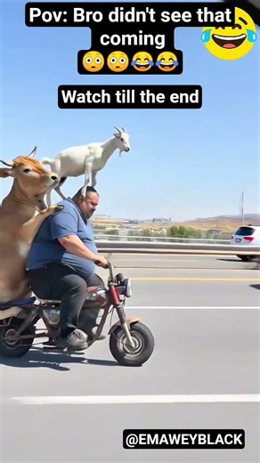 Ghost Rider 😂😂#funny #comedy #laugh #foryou #bestcomedyskit #funnynoise #viralshort #shorts