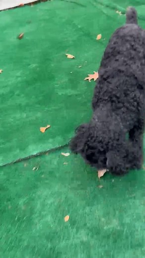 26 reactions · 4 comments | I miss my baby so much | Lisa Arthur | Facebook