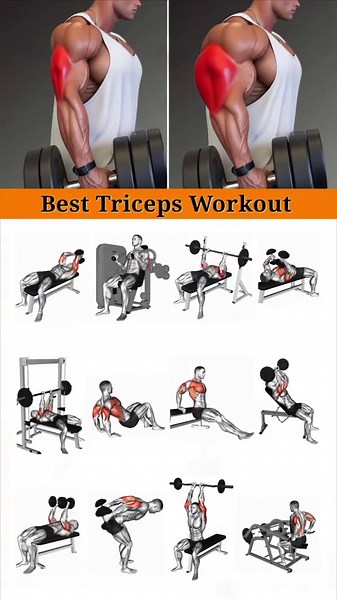 Most Effective Upper Body Workouts for Chest & Shoulders (10–12 Reps)