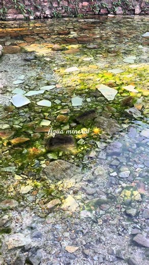 Água Mineral: Oásis Perfeito em Brasília