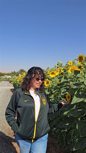 A R N I | Sunny Sunflower! ❤️ #sunflower #sunny #emiratesbiofarm | Instagram