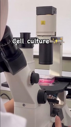 Chlamydia onto McCoy cell culture - Atypical bacteria obligate intracellular pathogen Microbiology