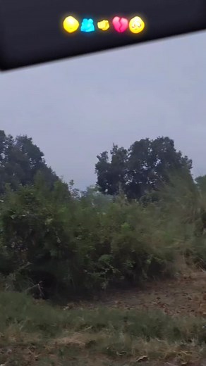 2.3M views · 85K reactions | Hindi video achcha video achcha song | Rathore Mohini | Facebook