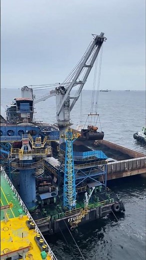 Bulk Carrier Ship Loading | Tugboats, Barges & Cranes in Action at Port#shorts