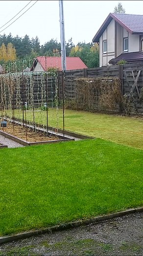 154K views · 1.5K reactions | Preparing the lawn and vegetable beds for winter, October 26. Every autumn, at the end of October, I repeat this process. I mow the lawn to a minimum height (on my lawn mower, it’s 2 cm) and carefully comb out all the dry grass. I mulch all my vegetable beds with mown and combed grass. #harvestgarden | Harvest Garden | Facebook