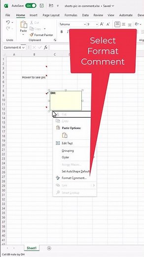Insert a Picture in the Notes or Comments in a Cell - Excel #Shorts