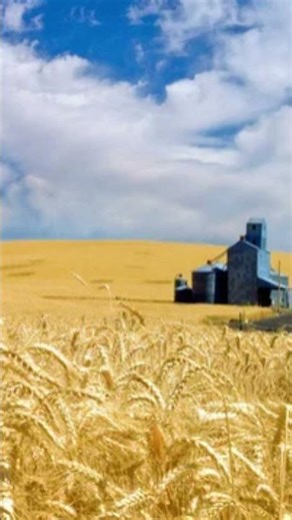 The Palouse Explained: America’s Wheat Hills