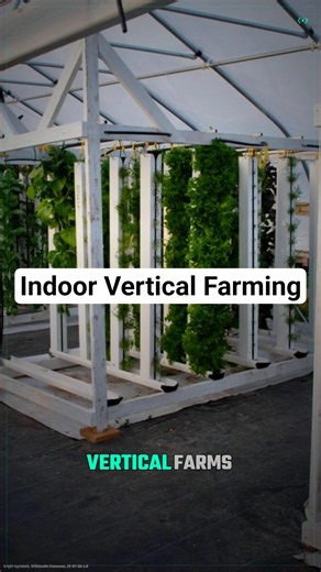 98% Less Water — Indoor Vertical Farming