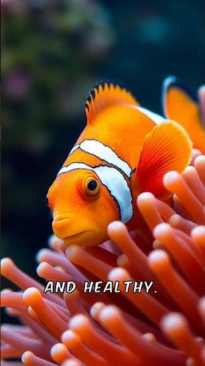 Unveiling the Secret Life of Clownfish! 🌊🤔