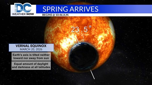 Cool now, but it will feel springlike soon